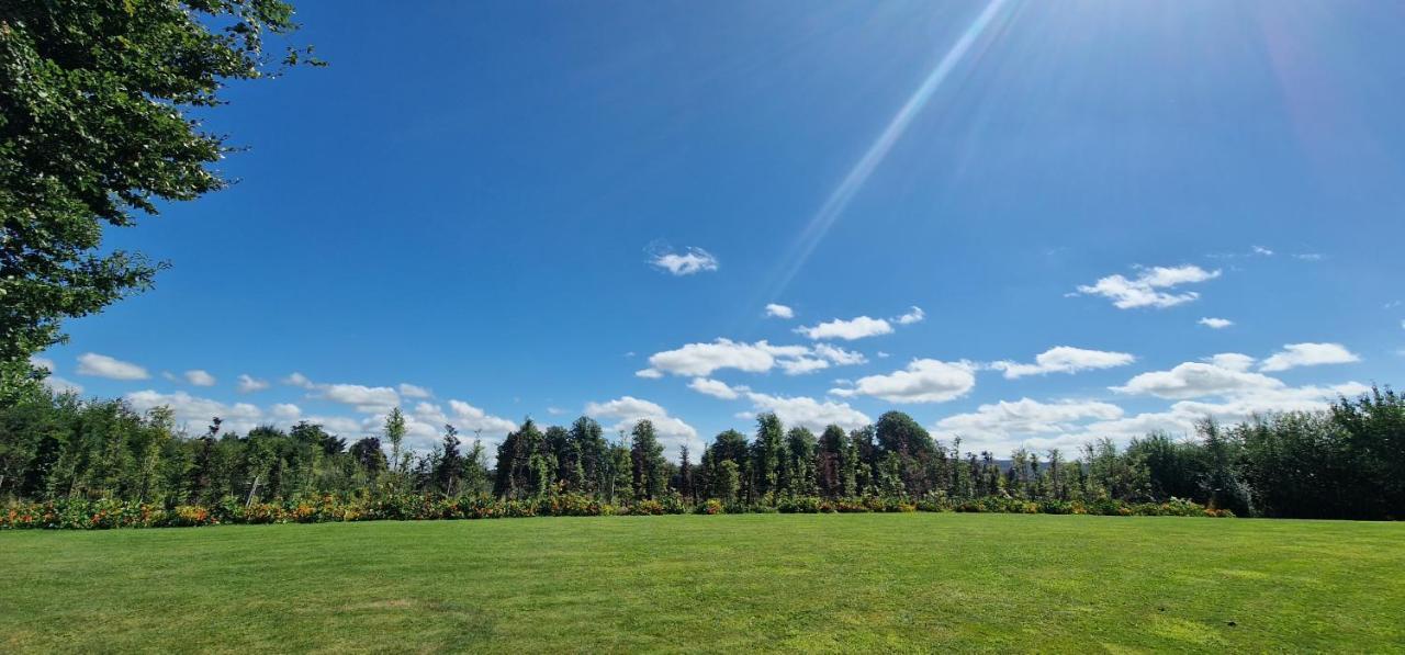 Littlefield B&B Durrow, Laois Bagian luar foto